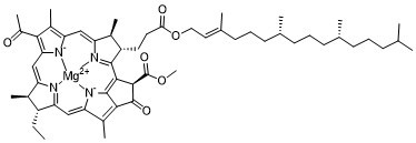 Bacteriochlorophyll a 17499-98-8